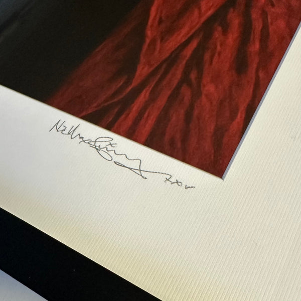 OJOS DE LOS MVERTOS (framed print)